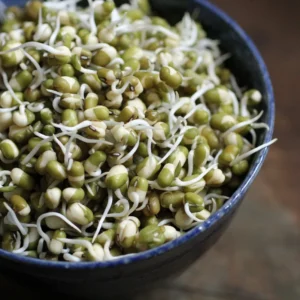 Moong