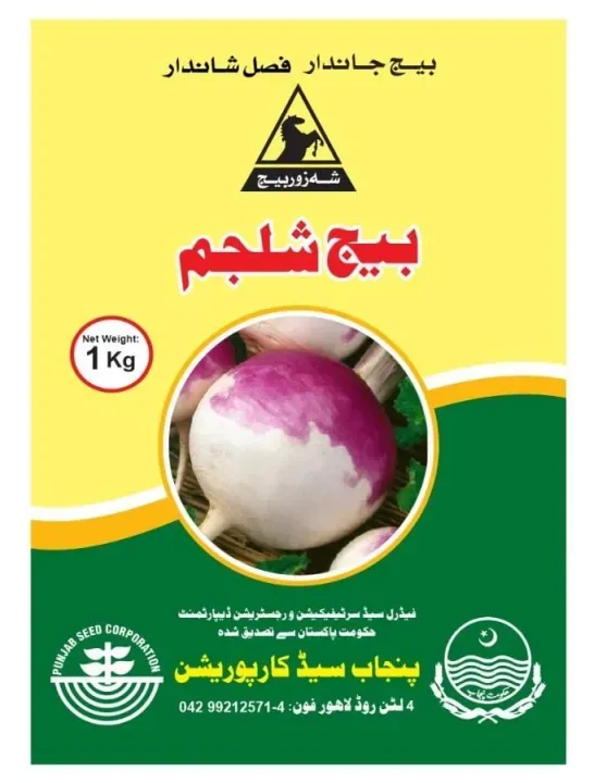 Turnip Seed - Image 3